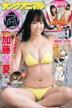 倚天屠龙缘